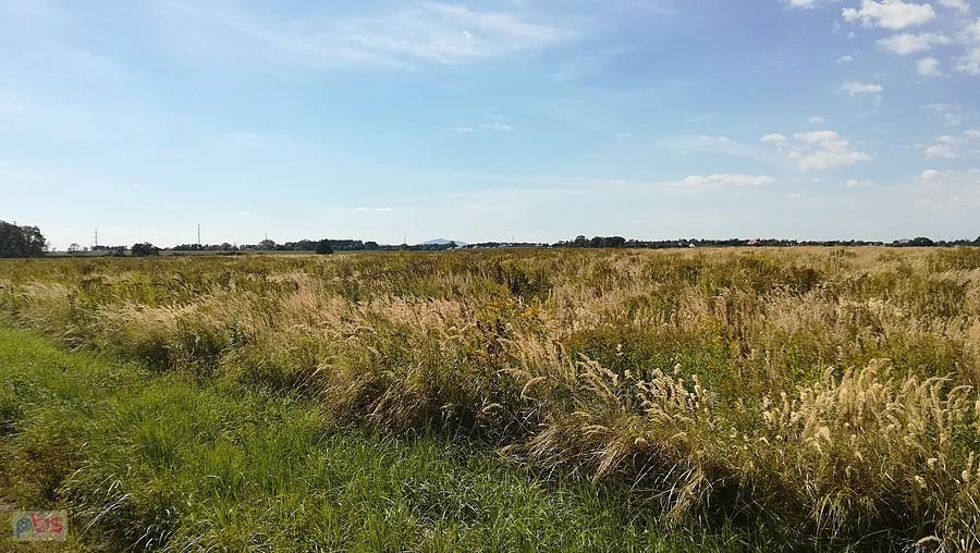 Widok ze ścieżki Bielany -Domasław