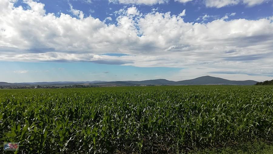 Południowa panorama z Damianowickiej Górki