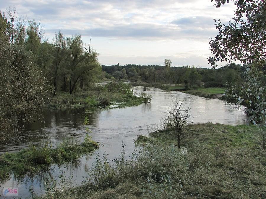 Radomka z mostu w Ryczywole, widok w górę rzeki