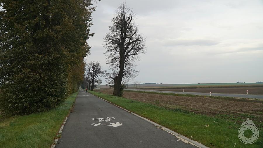 ścieżka rowerowa wzdłuż DW, baaardzo dobrze przemyślana!