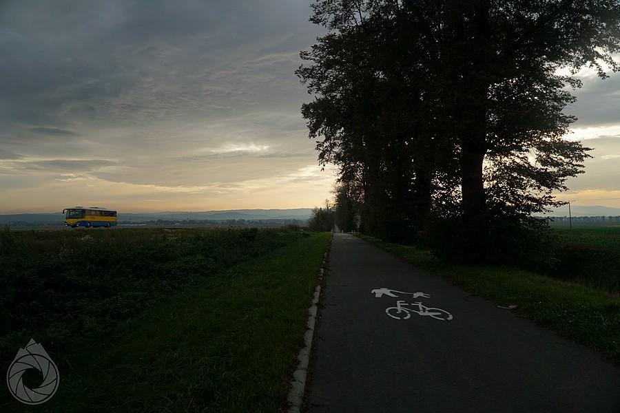 widoczki ze ścieżki rowerowej