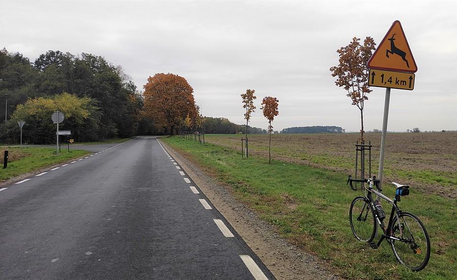 Szare realia późnego października