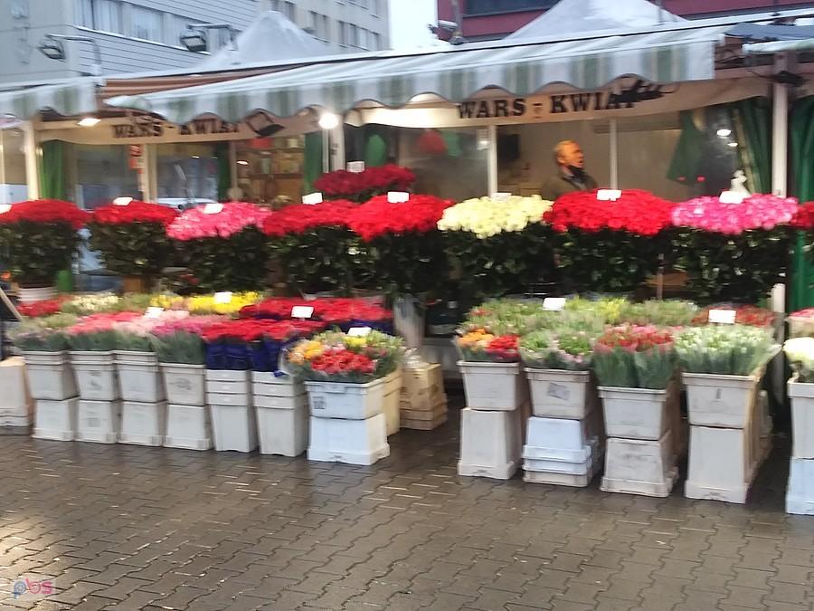 Pod Halą Mirowską można kupić najładniejsze kwiaty