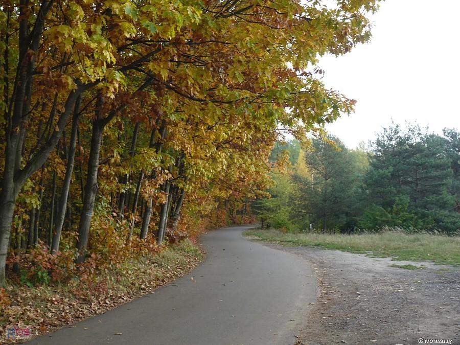 Deptak nad zalewem Nakło-Chechło
