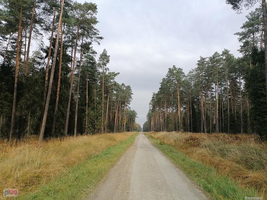Szutrowe hajłeje na trasie LR