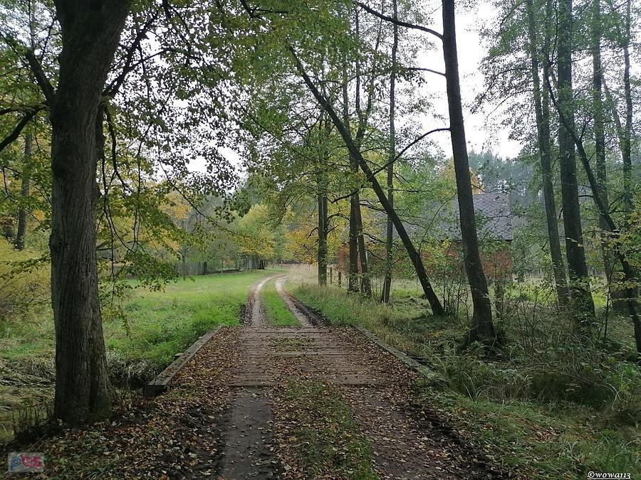 Przysiółek Dubiele