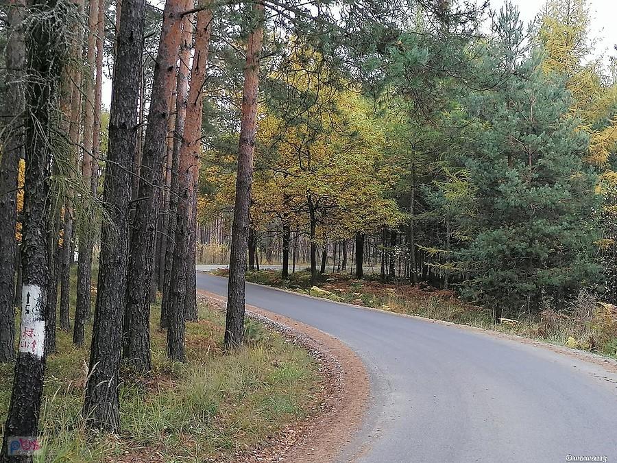 A ja jestem, proszę pana, na zakręcie