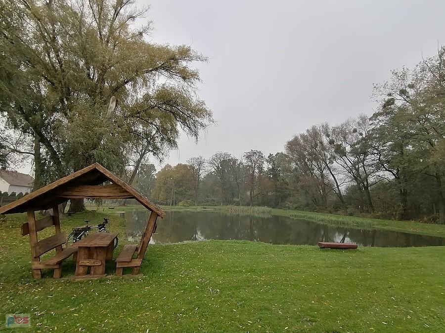 Staw w Jasionej