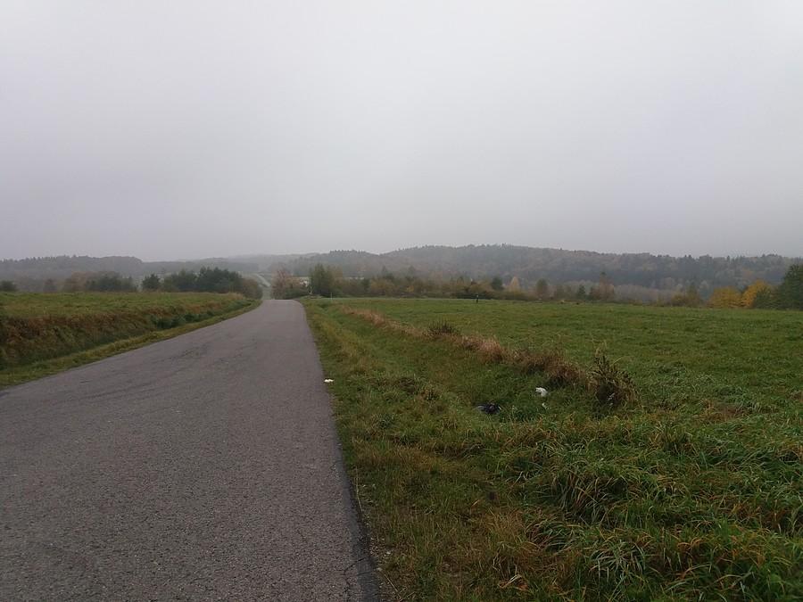Mgła i mżawka w Grzegorzówce.