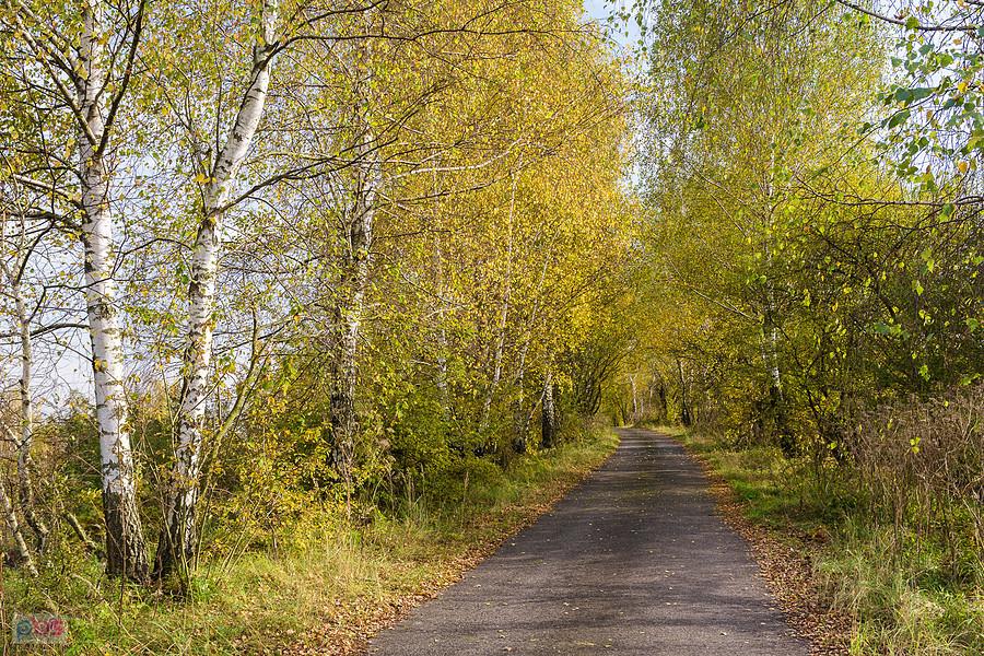 Dąbrowa Górnicza - Okradzionów - droga wzdłuż linii kolejowej D29-154