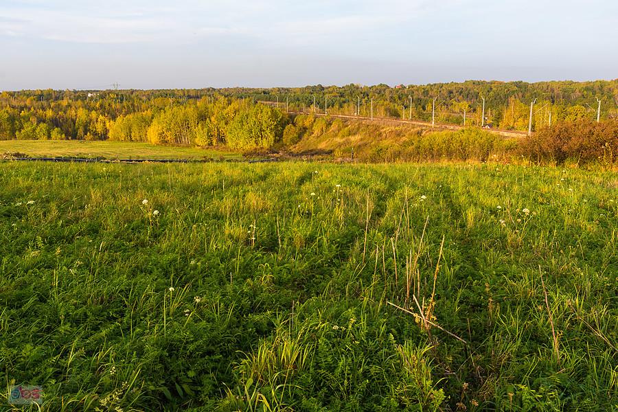 Sławków - powiat będziński - widok na linię kolejową D29-171 i łącznicę D29-661