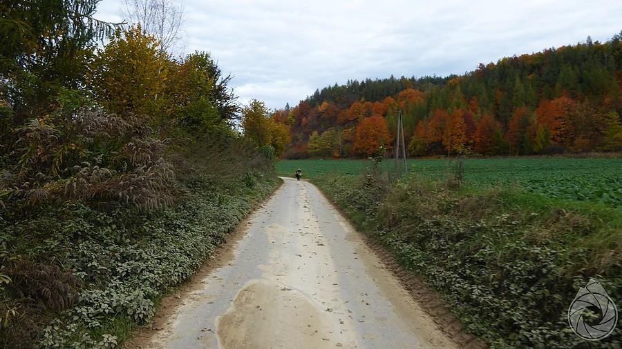boczna droga pod jesiennymi drzewami