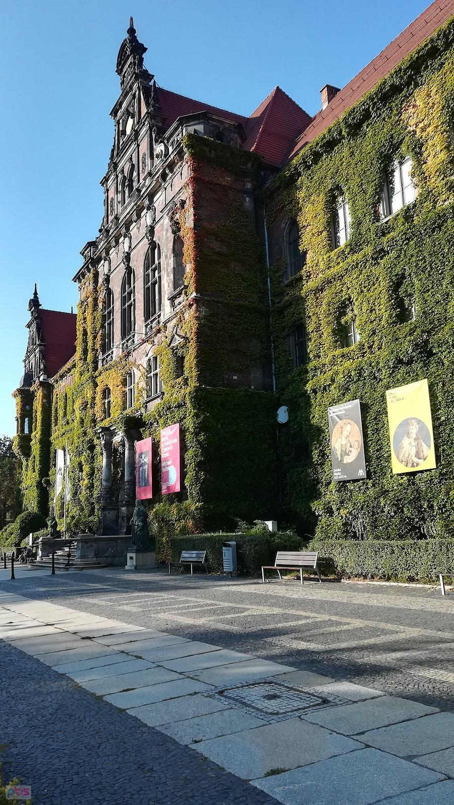 Wczesnojesienny bluszcz na Muzeum Narodowym
