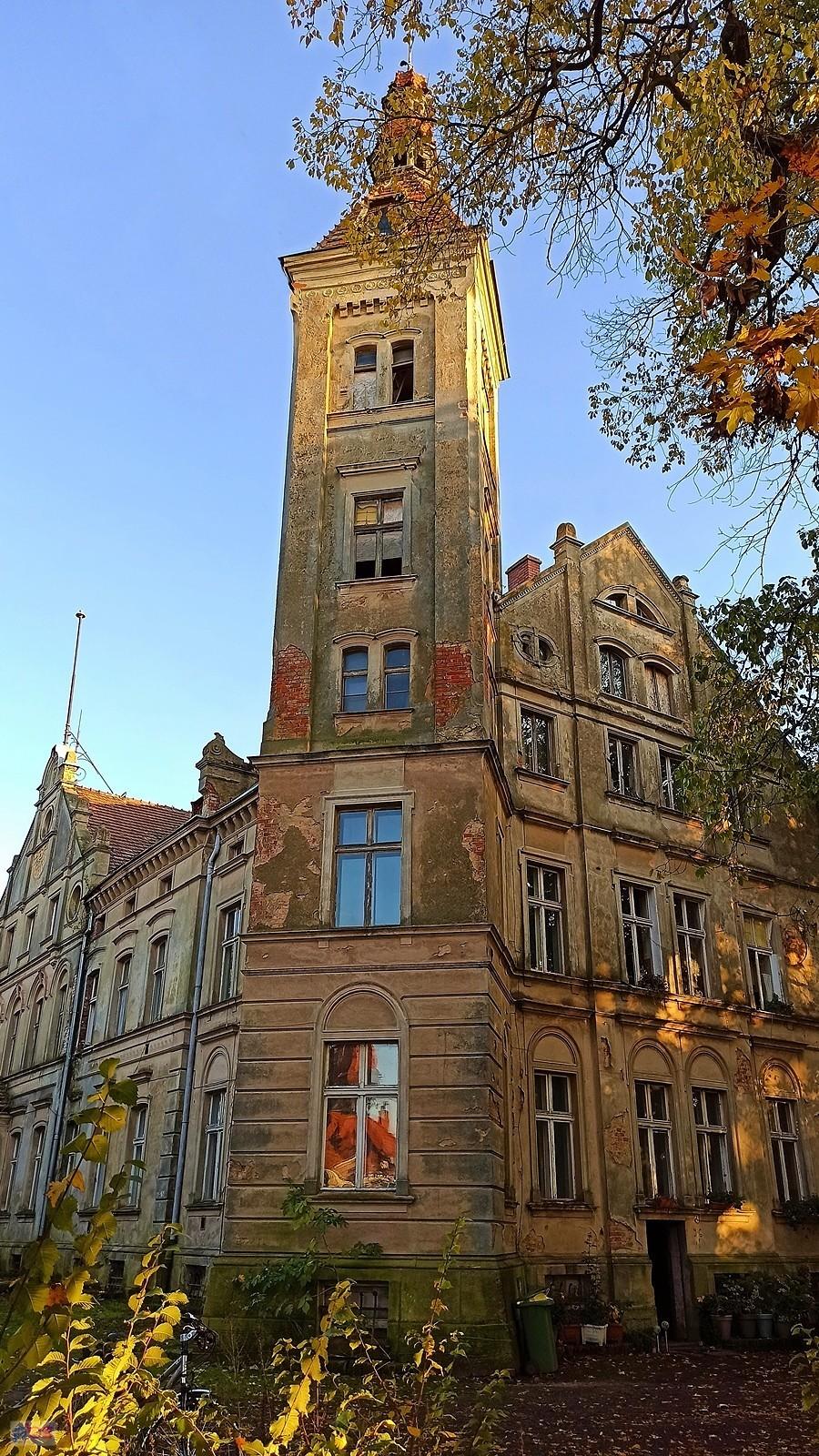 Pałacowa wieża w Jędrzychowie