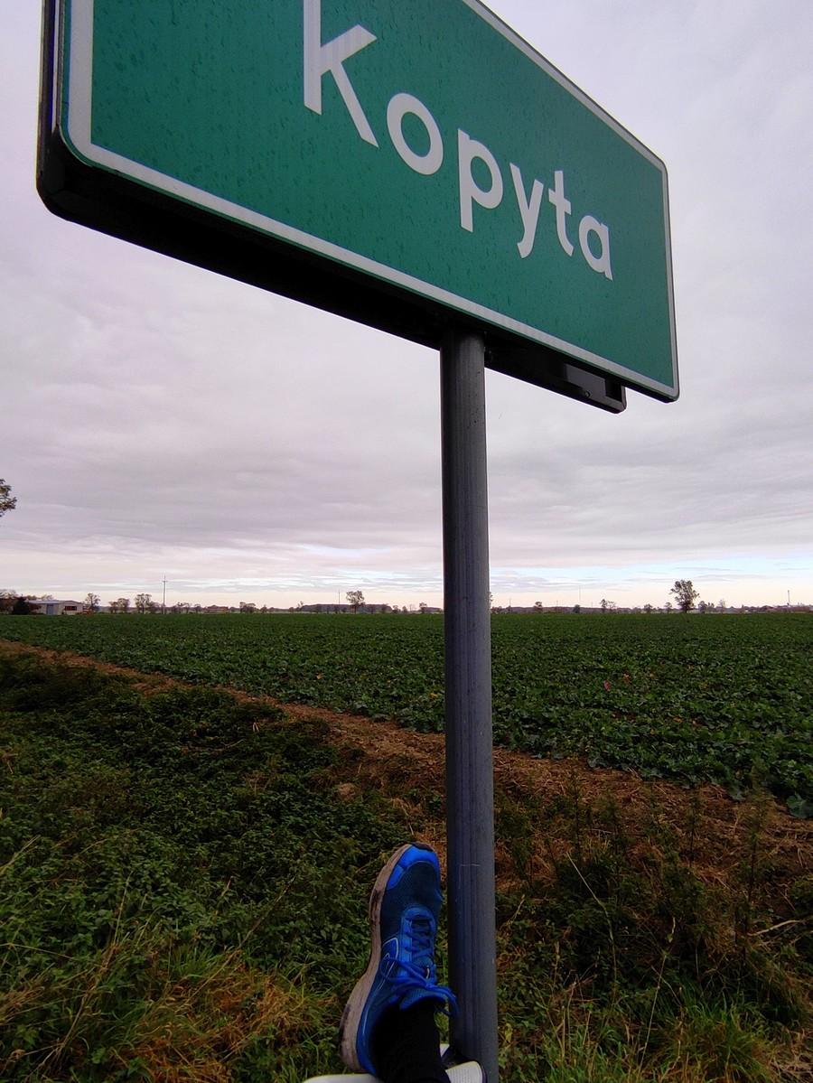 Przynajmniej jedno kopyto udało się wyciągnąć