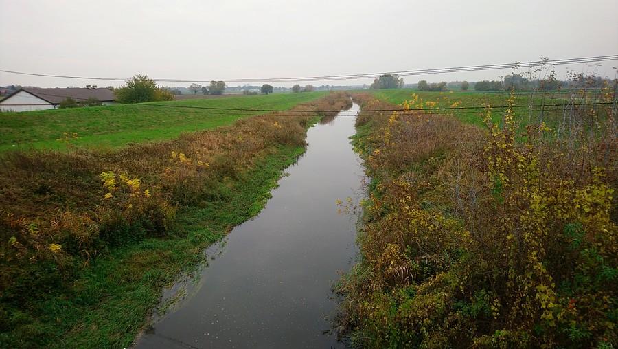 Jeziorka w Obórkach