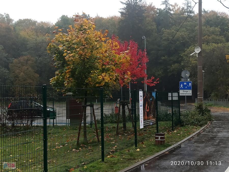 Pod Arkonką - kolory jesieni.