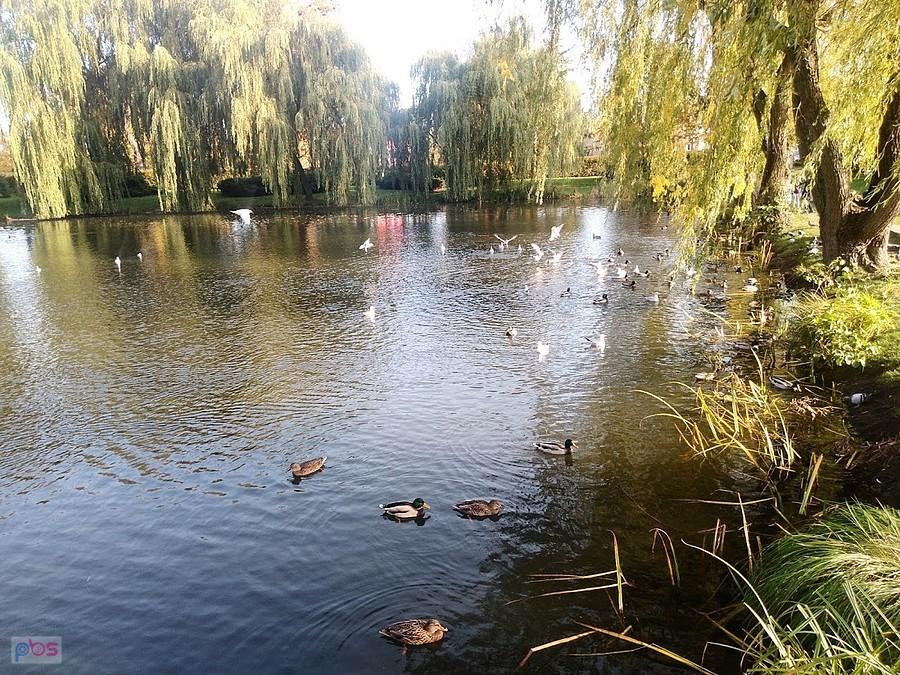 Park Oruński