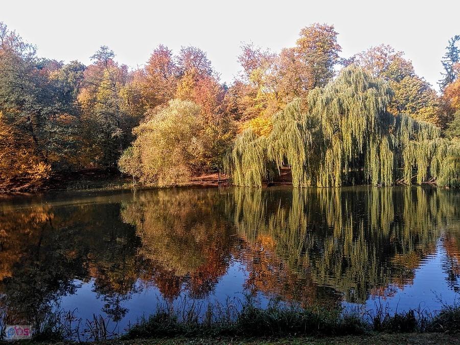 Park Oruński