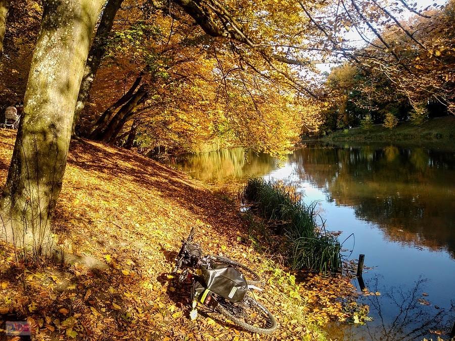 Park Oruński