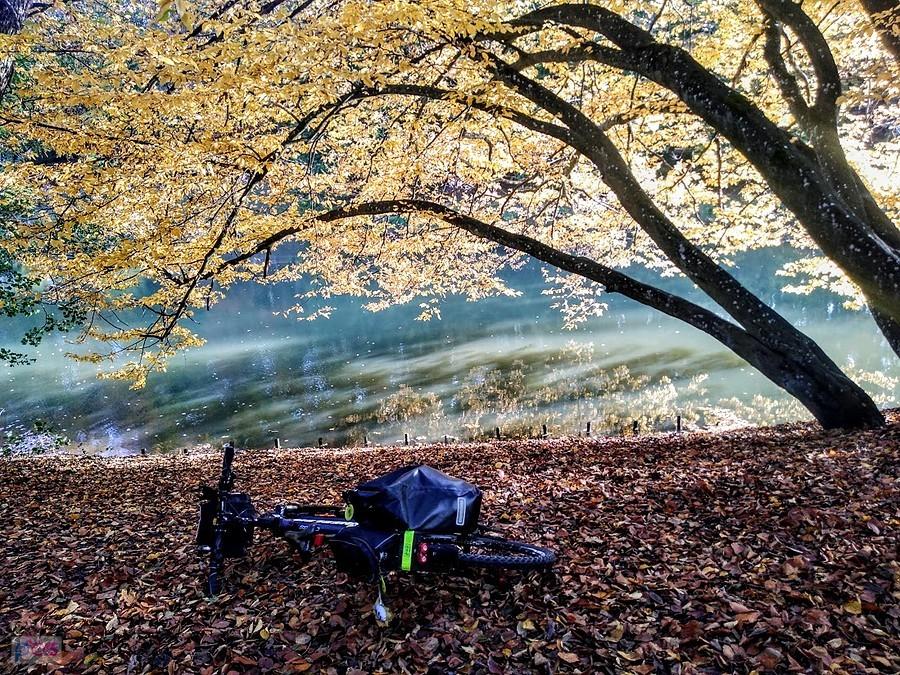 Rower leżący w parku nad rzeką