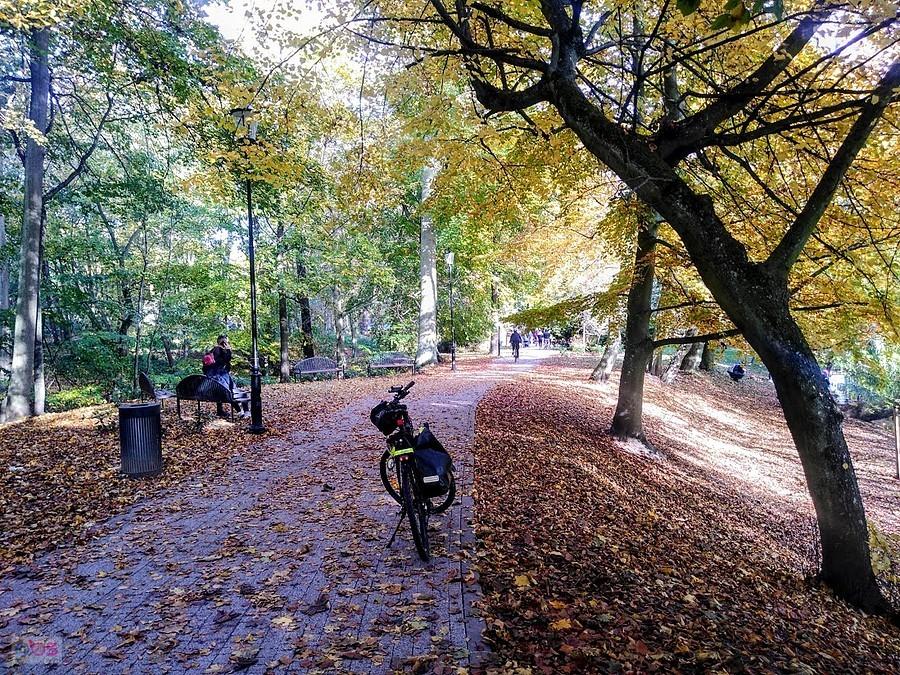 Park Oruński