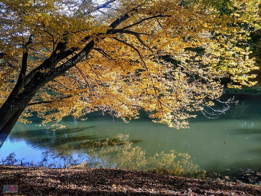 Park Oruński