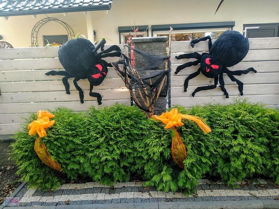 Halloween na Żuławach