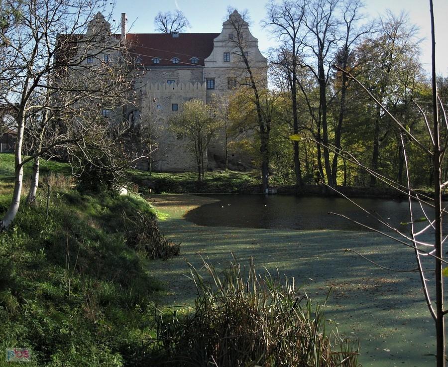 Zamek w Goli Dzierżoniowskiej