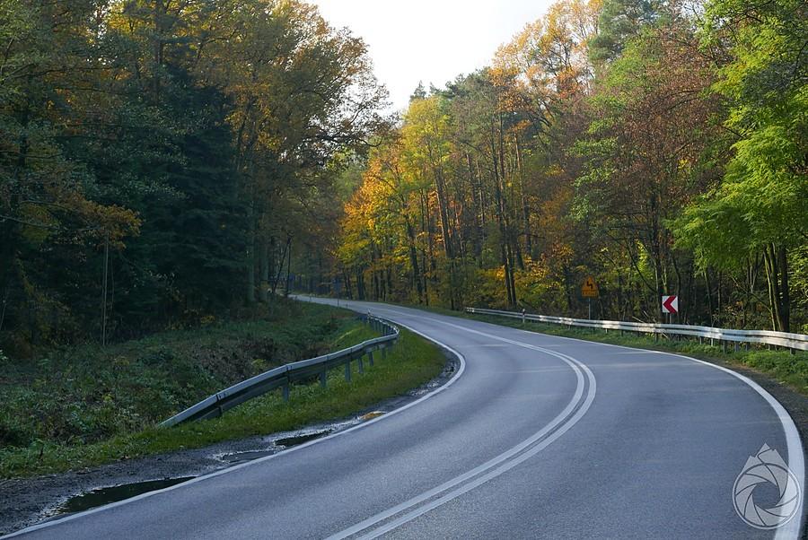 las nad Zabłudzą