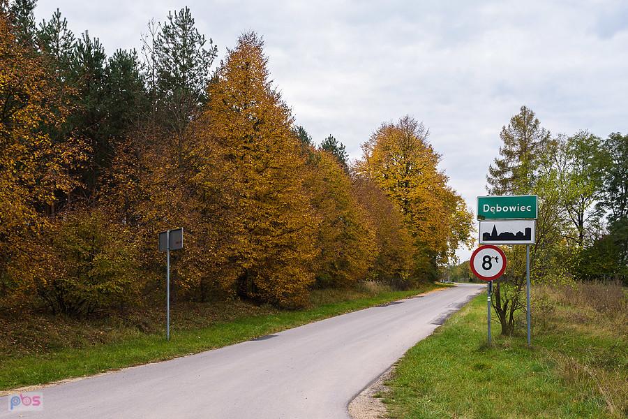 Dębowiec