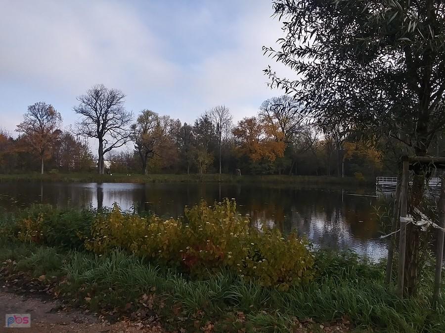 Staw w Ołtarzewie