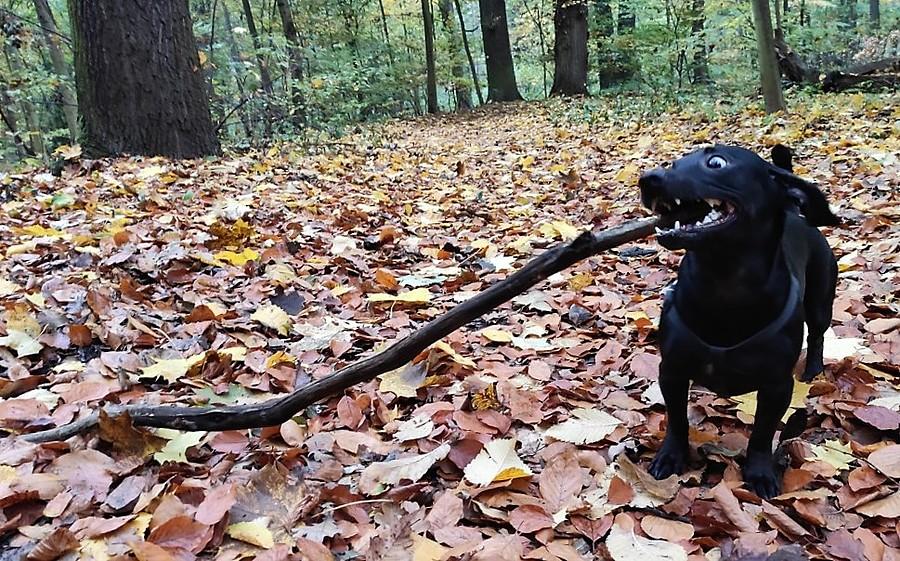 Muminki się cieszą... :)