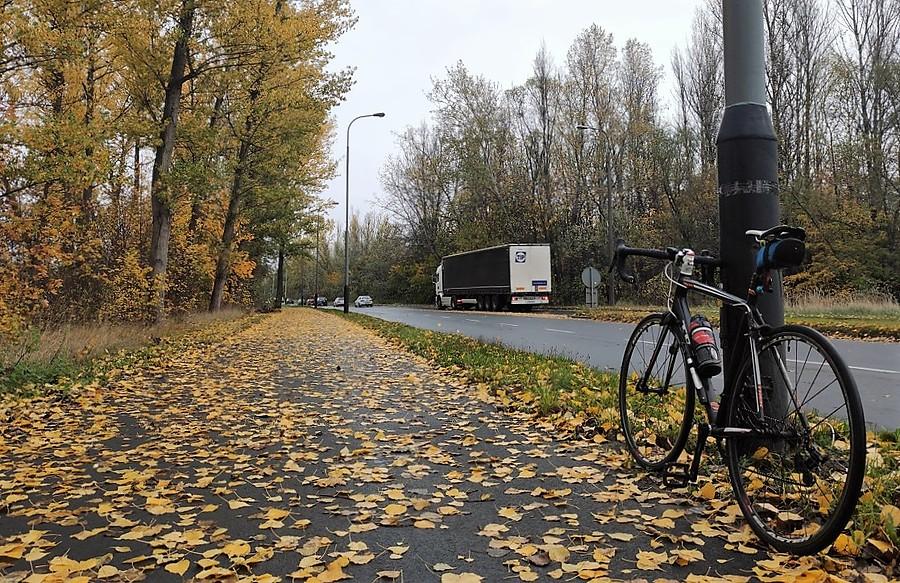 Jesienne, średnio bezpieczne drogi rowerowe, Poznań