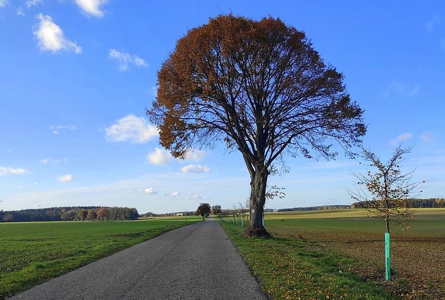 Młodość i dojrzałość