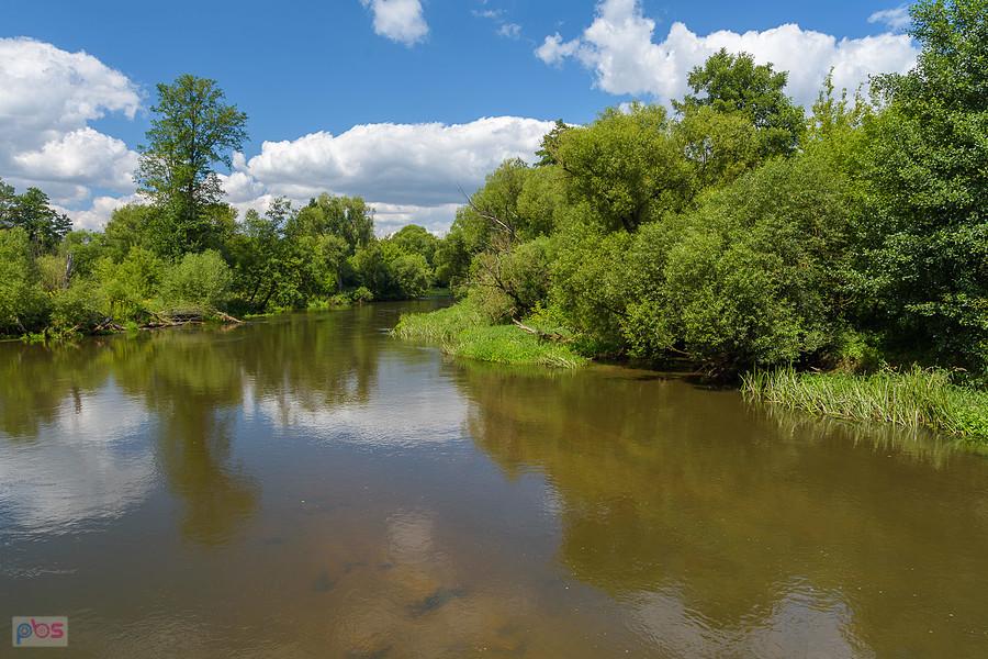 Warta - Grądy-Łazy