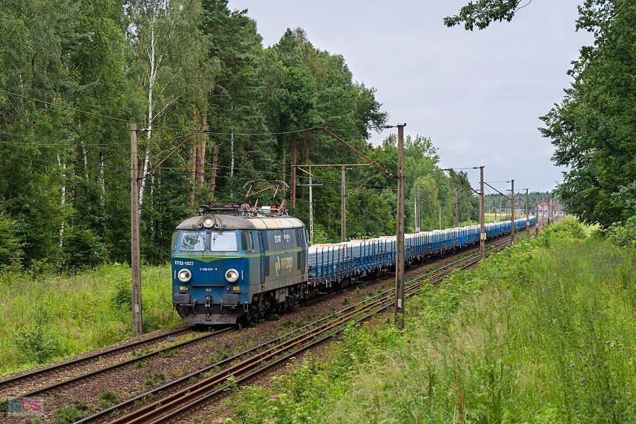 ET22-1027 pokonuje szlak linii D29-131: Wręczyca -> Herby Nowe, mijając las w miejscowości Puszczew.