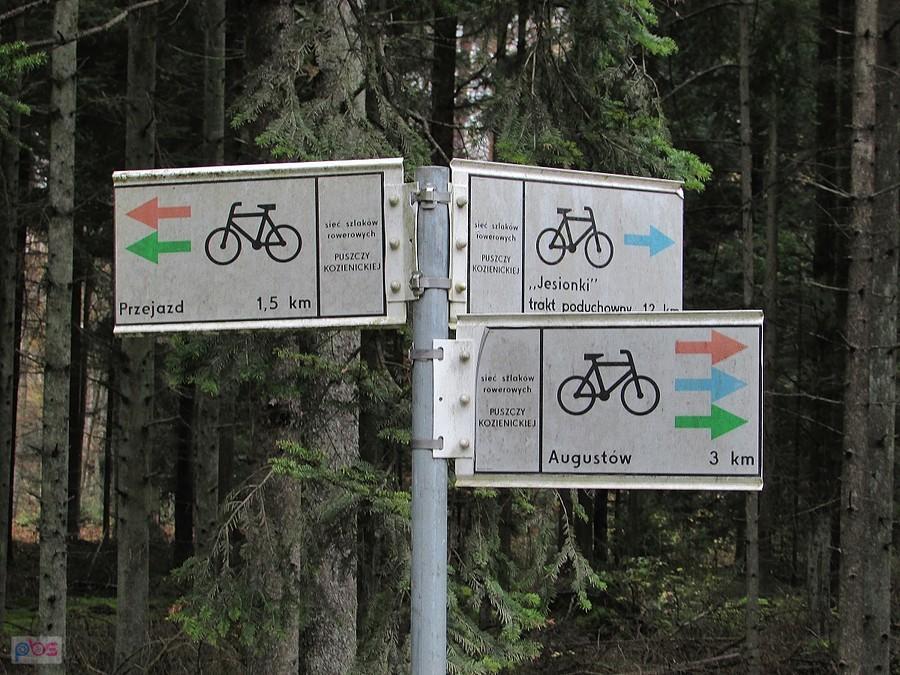 Rowerowy drogowskaz w Puszczy Kozienickiej
