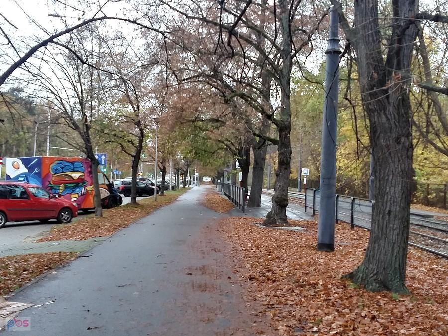 Ddr na Marymonckiej