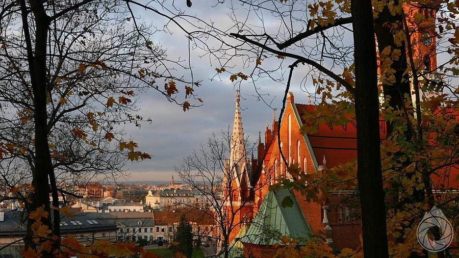 spojrzenie za Wisłę z Parku Bednarskiego
