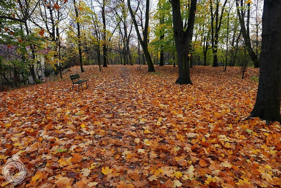 Park Bednarskiego