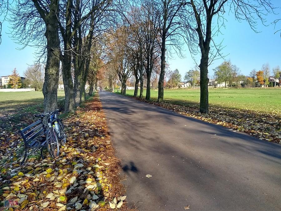 Aleja w Woźnikach