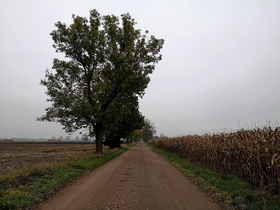Gruntowa droga Graboszewo - Chwalibogowo