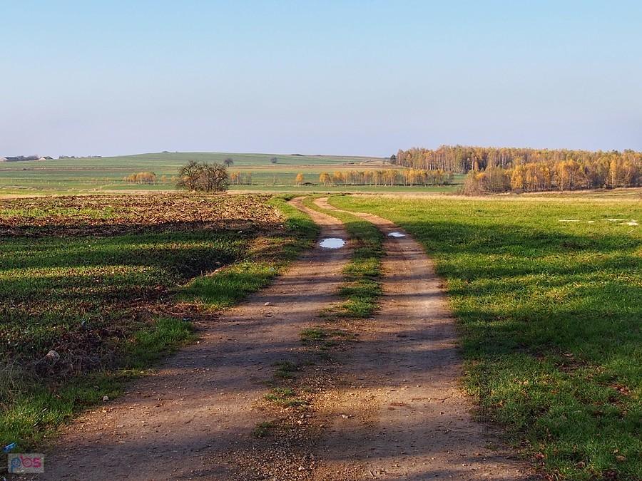 Szlak konny do Wojsławic