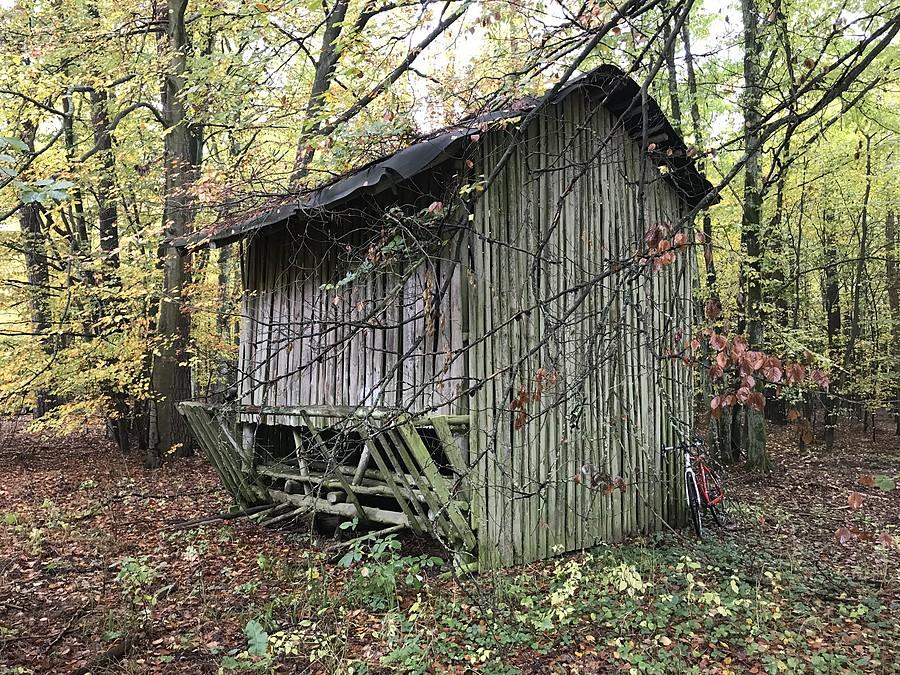 paśnik w innym ujęciu
