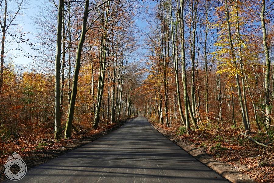 w końcu wyremontowany kawałek