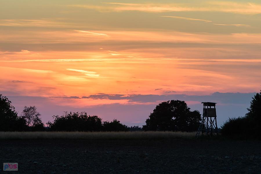 Widok na zachód - Łazy - część wsi Strzebiń