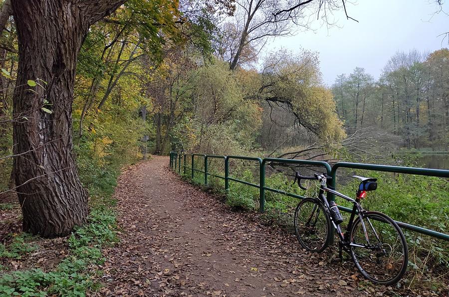 Przez jesienną Dębinę, Poznań