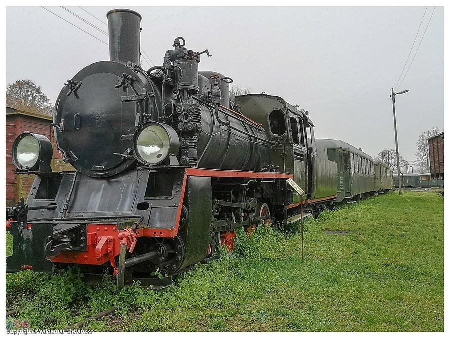 Tu też Rogów