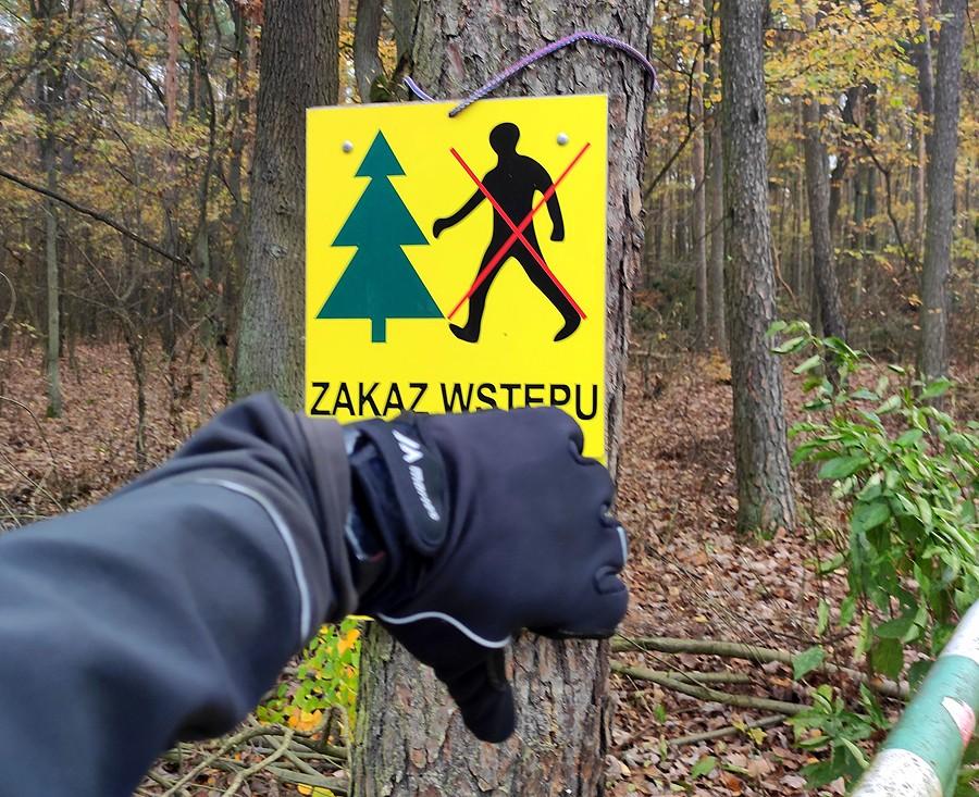 Należal się raczej środkowy palec, ale się powstrzymałem